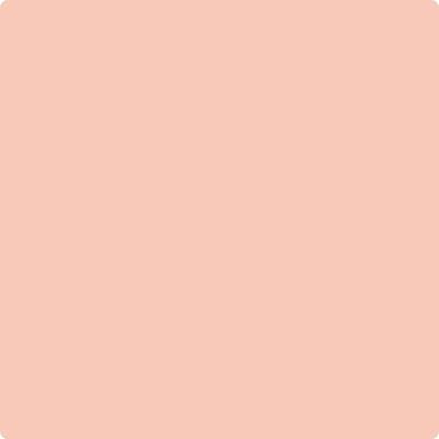 Shop 024 Coral Buff by Benjamin Moore at Wallauer Paint & Design. Westchester, Putnam, and Rockland County's local Benajmin Moore.