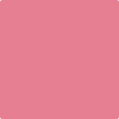 Shop 2004-40 Pink Starburst by Benjamin Moore at Wallauer Paint & Design. Westchester, Putnam, and Rockland County's local Benajmin Moore.