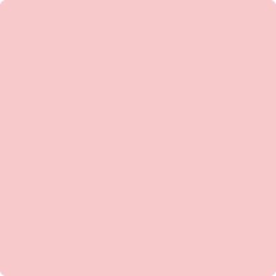 Shop 2006-60 Authentic Pink by Benjamin Moore at Wallauer Paint & Design. Westchester, Putnam, and Rockland County's local Benajmin Moore.