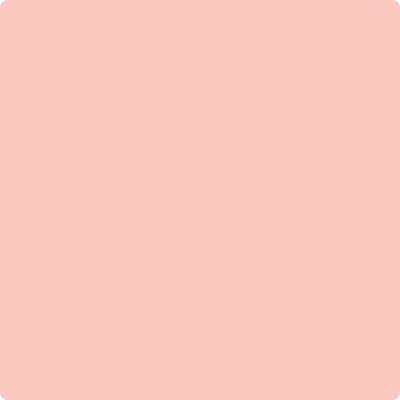 Shop 009 Blushing Brilliance by Benjamin Moore at Wallauer Paint & Design. Westchester, Putnam, and Rockland County's local Benajmin Moore.