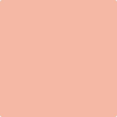 Shop 025 Vivid Peach by Benjamin Moore at Wallauer Paint & Design. Westchester, Putnam, and Rockland County's local Benajmin Moore.