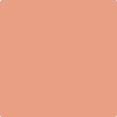 Shop 026 Coral Glow by Benjamin Moore at Wallauer Paint & Design. Westchester, Putnam, and Rockland County's local Benajmin Moore.
