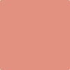 Shop 032 Coral Rock by Benjamin Moore at Wallauer Paint & Design. Westchester, Putnam, and Rockland County's local Benajmin Moore.