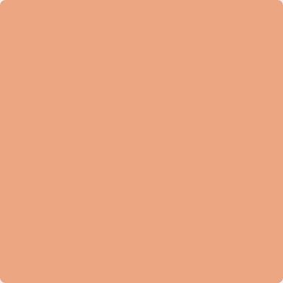 Shop 068 Succulent Peach by Benjamin Moore at Wallauer Paint & Design. Westchester, Putnam, and Rockland County's local Benajmin Moore.