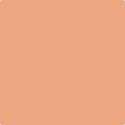 peach succulent 068 Succulent Peach by Benjamin Moore | Wallauer's Paint Center