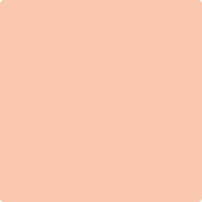 Shop 072 Sanibal Peach by Benjamin Moore at Wallauer Paint & Design. Westchester, Putnam, and Rockland County's local Benajmin Moore.