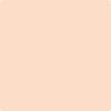 Shop 079 Daytona Peach by Benjamin Moore at Wallauer Paint & Design. Westchester, Putnam, and Rockland County's local Benajmin Moore.