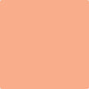 Shop 081 Intense Peach by Benjamin Moore at Wallauer Paint & Design. Westchester, Putnam, and Rockland County's local Benajmin Moore.