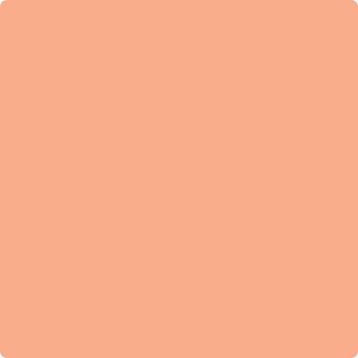 Shop 081 Intense Peach by Benjamin Moore at Wallauer Paint & Design. Westchester, Putnam, and Rockland County's local Benajmin Moore.