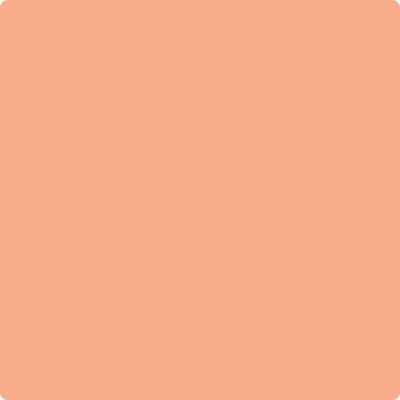 Shop 081 Intense Peach by Benjamin Moore at Wallauer Paint & Design. Westchester, Putnam, and Rockland County's local Benajmin Moore.