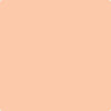 Shop 088 Summer Peach by Benjamin Moore at Wallauer Paint & Design. Westchester, Putnam, and Rockland County's local Benajmin Moore.