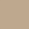 Shop 1033 Hillsborough Beige by Benjamin Moore at Wallauer Paint & Design. Westchester, Putnam, and Rockland County's local Benajmin Moore.