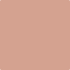 Shop 1193 Palazzo Pink by Benjamin Moore at Wallauer Paint & Design. Westchester, Putnam, and Rockland County's local Benajmin Moore.