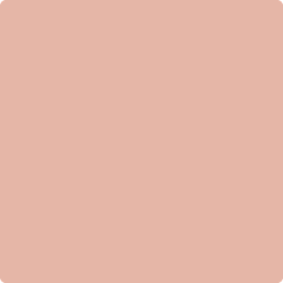 Shop 1199 Peach Mousse by Benjamin Moore at Wallauer Paint & Design. Westchester, Putnam, and Rockland County's local Benajmin Moore.