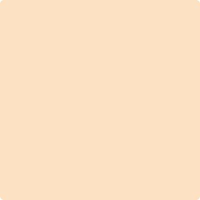 Shop 120 Delicate Peach by Benjamin Moore at Wallauer Paint & Design. Westchester, Putnam, and Rockland County's local Benajmin Moore.