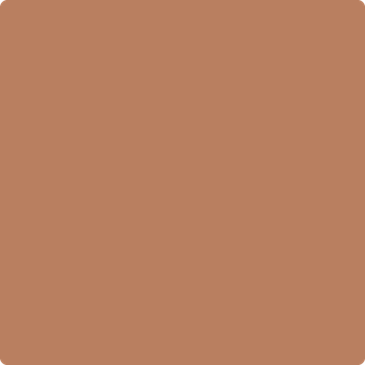 Shop 1217 Suntan Bronze by Benjamin Moore at Wallauer Paint & Design. Westchester, Putnam, and Rockland County's local Benajmin Moore.