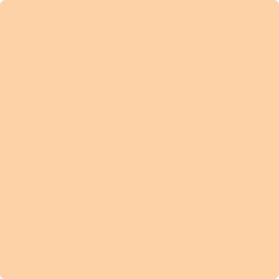 Shop 122 Orange Sherbert by Benjamin Moore at Wallauer Paint & Design. Westchester, Putnam, and Rockland County's local Benajmin Moore.