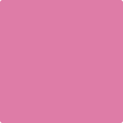 1347-pinkladies_2000x_36c590c6