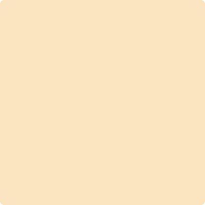 Shop 163 Somerset Peach by Benjamin Moore at Wallauer Paint & Design. Westchester, Putnam, and Rockland County's local Benajmin Moore.