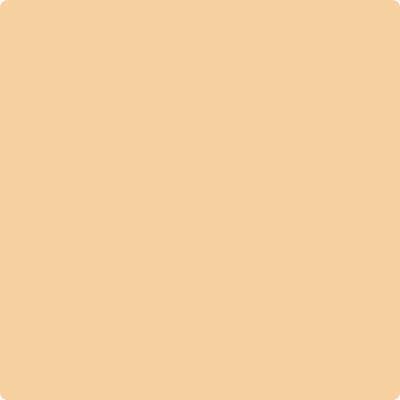 Shop 165 Glowing Apricot by Benjamin Moore at Wallauer Paint & Design. Westchester, Putnam, and Rockland County's local Benajmin Moore.