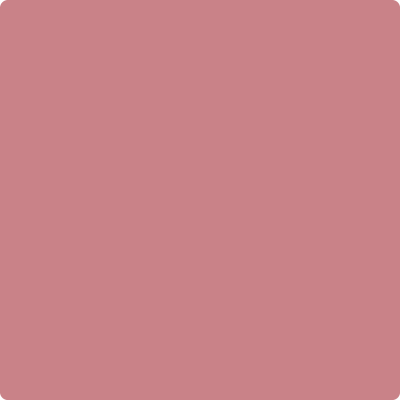 Shop 2005-40 Genuine Pink by Benjamin Moore at Wallauer Paint & Design. Westchester, Putnam, and Rockland County's local Benajmin Moore.