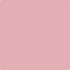 Shop 2005-50 Pink Eraser by Benjamin Moore at Wallauer Paint & Design. Westchester, Putnam, and Rockland County's local Benajmin Moore.
