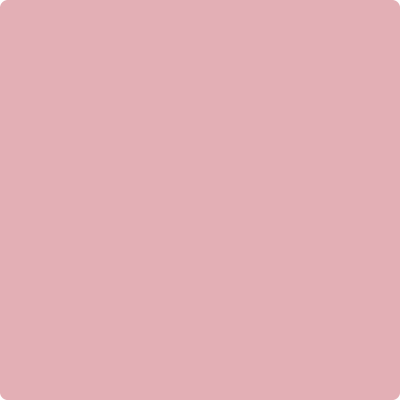 Shop 2005-50 Pink Eraser by Benjamin Moore at Wallauer Paint & Design. Westchester, Putnam, and Rockland County's local Benajmin Moore.