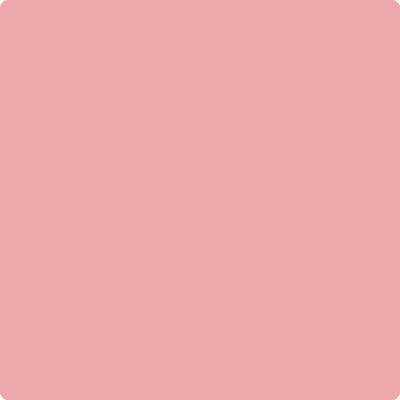 Shop 2006-50 Pink Punch by Benjamin Moore at Wallauer Paint & Design. Westchester, Putnam, and Rockland County's local Benajmin Moore.