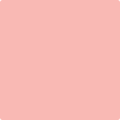 Shop 2010-50 Dawn Pink by Benjamin Moore at Wallauer Paint & Design. Westchester, Putnam, and Rockland County's local Benajmin Moore.