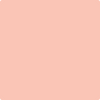 Shop 2013-50 Salmon Peach by Benjamin Moore at Wallauer Paint & Design. Westchester, Putnam, and Rockland County's local Benajmin Moore.
