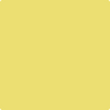 Shop 2024-40 Yellow Finch by Benjamin Moore at Wallauer Paint & Design. Westchester, Putnam, and Rockland County's local Benajmin Moore.