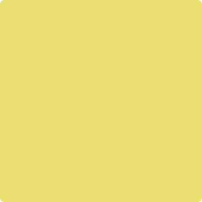 Shop 2024-40 Yellow Finch by Benjamin Moore at Wallauer Paint & Design. Westchester, Putnam, and Rockland County's local Benajmin Moore.