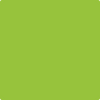 Shop 2026-10 Lime Green by Benjamin Moore at Wallauer Paint & Design. Westchester, Putnam, and Rockland County's local Benajmin Moore.