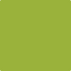 Shop 2027-10 Dark Lime by Benjamin Moore at Wallauer Paint & Design. Westchester, Putnam, and Rockland County's local Benajmin Moore.