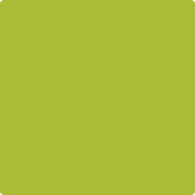Shop 2027-20 Spring Moss by Benjamin Moore at Wallauer Paint & Design. Westchester, Putnam, and Rockland County's local Benajmin Moore.
