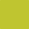 Shop 2027-30 Electric Lime by Benjamin Moore at Wallauer Paint & Design. Westchester, Putnam, and Rockland County's local Benajmin Moore.