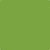 Shop 2028-10 Iguana Green by Benjamin Moore at Wallauer Paint & Design. Westchester, Putnam, and Rockland County's local Benajmin Moore.