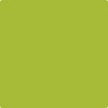 Shop 2028-30 Tequila Lime by Benjamin Moore at Wallauer Paint & Design. Westchester, Putnam, and Rockland County's local Benajmin Moore.
