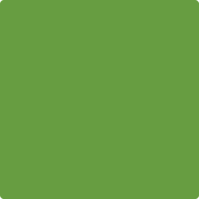 Shop 2029-20 Baby Fern by Benjamin Moore at Wallauer Paint & Design. Westchester, Putnam, and Rockland County's local Benajmin Moore.