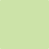 Shop 2031-50 Key Lime by Benjamin Moore at Wallauer Paint & Design. Westchester, Putnam, and Rockland County's local Benajmin Moore.