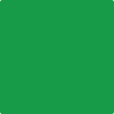 Shop 2032-10 Neon Green by Benjamin Moore at Wallauer Paint & Design. Westchester, Putnam, and Rockland County's local Benajmin Moore.