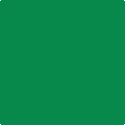 Shop 2037-20 Jade Green by Benjamin Moore at Wallauer Paint & Design. Westchester, Putnam, and Rockland County's local Benajmin Moore.