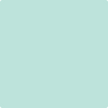 Shop 2039-60 Seafoam Green by Benjamin Moore at Wallauer Paint & Design. Westchester, Putnam, and Rockland County's local Benajmin Moore.