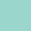 Shop 2041-50 Sea Mist Green by Benjamin Moore at Wallauer Paint & Design. Westchester, Putnam, and Rockland County's local Benajmin Moore.