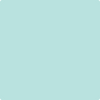 Shop 2046-60 Misty Teal by Benjamin Moore at Wallauer Paint & Design. Westchester, Putnam, and Rockland County's local Benajmin Moore.