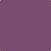 Shop 2073-30 Passion Plum by Benjamin Moore at Wallauer Paint & Design. Westchester, Putnam, and Rockland County's local Benajmin Moore.