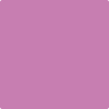 Shop 2075-40 Pink Raspberry by Benjamin Moore at Wallauer Paint & Design. Westchester, Putnam, and Rockland County's local Benajmin Moore.