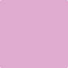 Shop 2075-50 Pink Taffy by Benjamin Moore at Wallauer Paint & Design. Westchester, Putnam, and Rockland County's local Benajmin Moore.