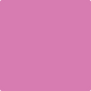 Shop 2076-40 Raspberry Mousse by Benjamin Moore at Wallauer Paint & Design. Westchester, Putnam, and Rockland County's local Benajmin Moore.