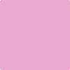 Shop 2076-50 Easter Pink by Benjamin Moore at Wallauer Paint & Design. Westchester, Putnam, and Rockland County's local Benajmin Moore.